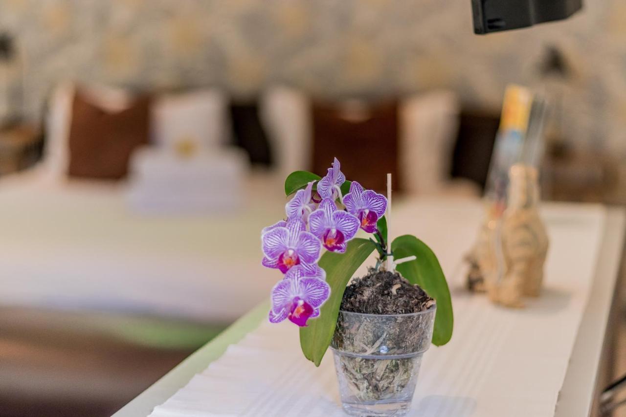 51 On Camps Bay Otel Cape Town Dış mekan fotoğraf