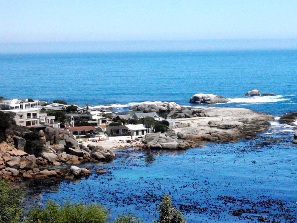 51 On Camps Bay Otel Cape Town Dış mekan fotoğraf